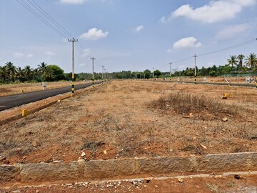 Plot Area in  Plot at Jhalaria – for Sale