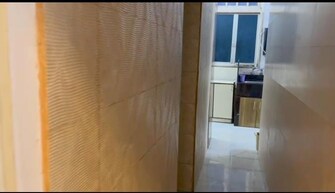 2 BHK Apartment For Rent in Navyug Mansion Grant Road Mumbai  7642988