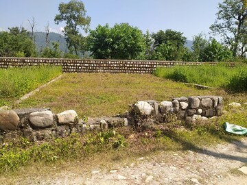 Plot Area in  Plot at Raipur Road – for Sale