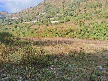 Plot Area in  Plot at Naukuchiatal – for Sale