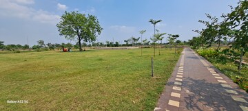 Plot Area in  Plot at Kandul – for Sale