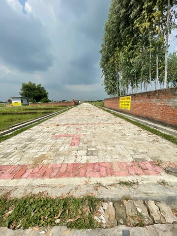  Plot – Exterior View View at Kalli Paschim - for Sale