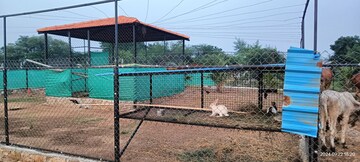   Plot at Peddapur – for Sale