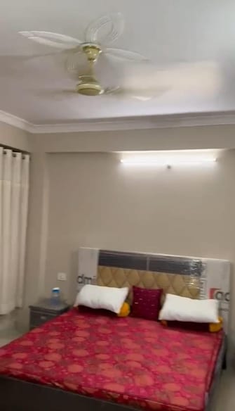 3 BHK Apartment For Rent in Sarfarazganj Lucknow  7643437