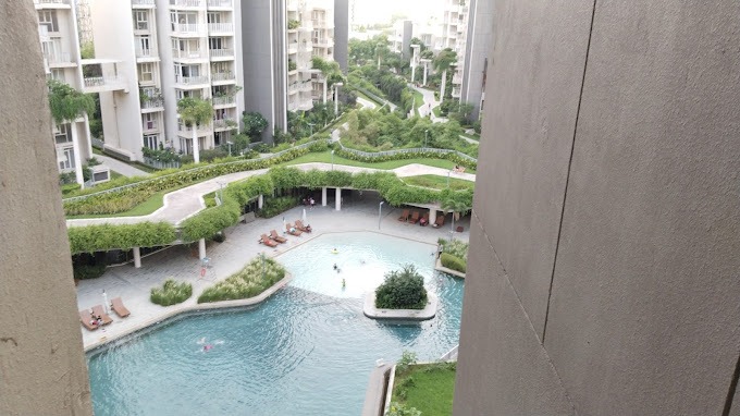 3 BHK Apartment For Rent in Ireo Victory Valley Sector 67 Gurgaon  7644774