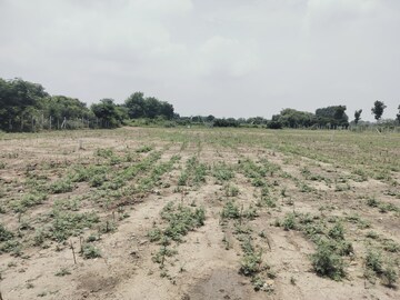 Plot Area in  Plot at Kodangal – for Sale