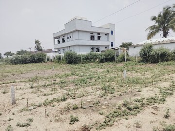 Plot Area in  Plot at Kodangal – for Sale
