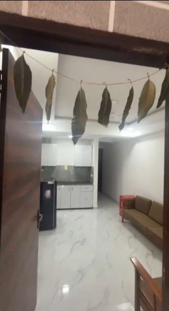 1 BHK Builder Floor For Rent in Chattarpur Delhi  7645004