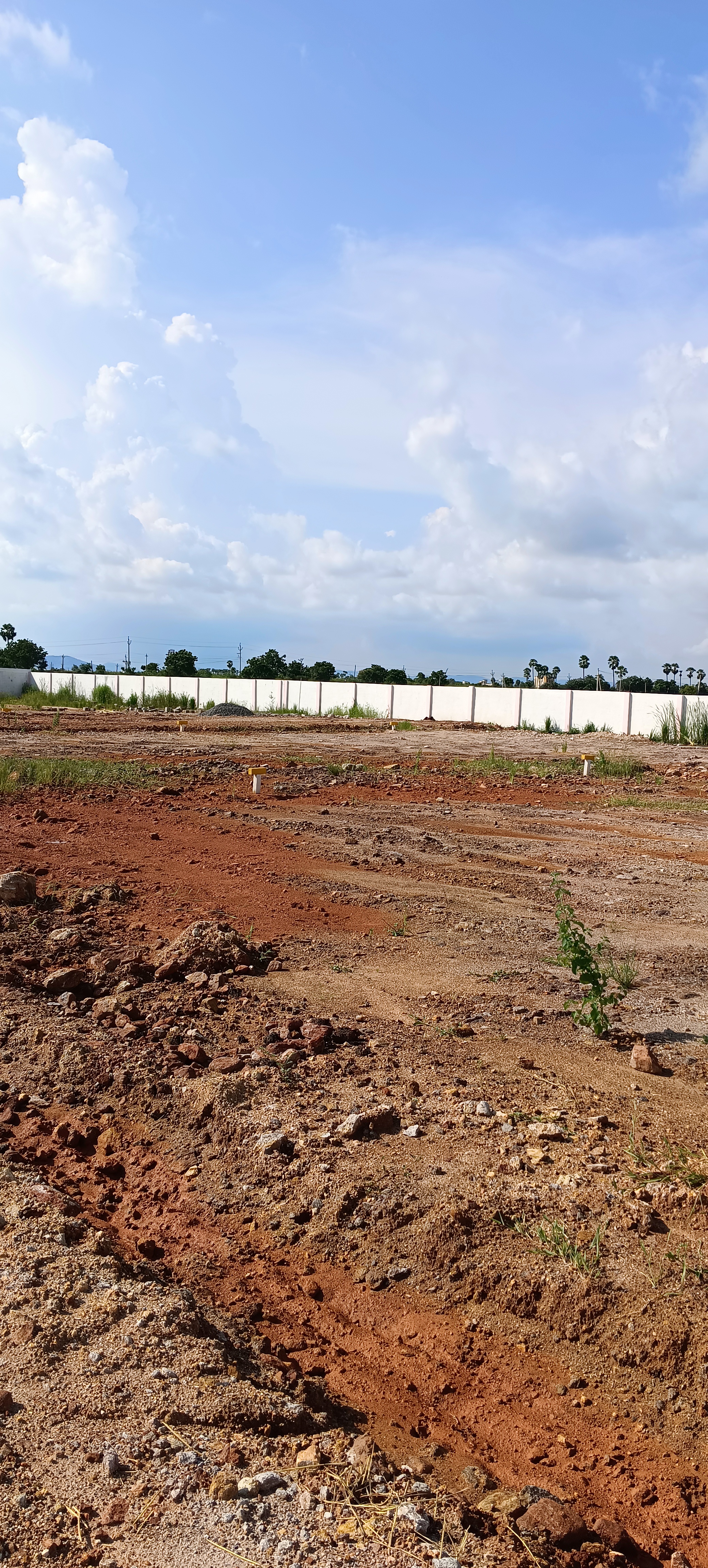 Plot For Resale in Gosala Vijayawada  7645031