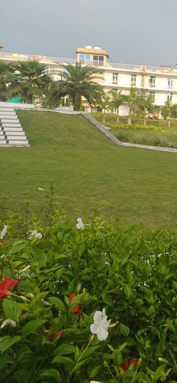 3.5 BHK Builder Floor – Garden View at Fidato Honour Homes, Sector 89 - for Sale