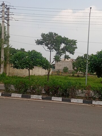  Plot – Exterior View View at Altus Prime, North Mullanpur - for Sale