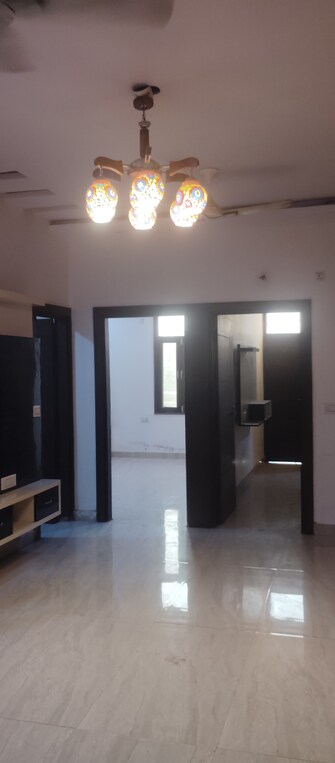 3 BHK Apartment For Rent in Sai Kutir Sector 49 Sector 49 Noida  7646176