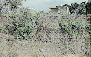 Plot For Sale in Shaheed Bhagat Singh Nagar