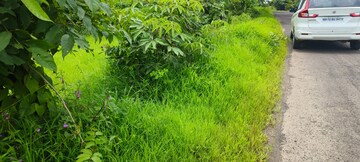 Plot Area in  Plot at Mangaon – for Sale