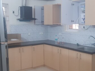 3 BHK Builder Floor For Rent in Ramky Towers Gachibowli Hyderabad  7646948