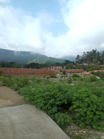 Plot Area in  Plot at Sahastradhara Road – for Sale