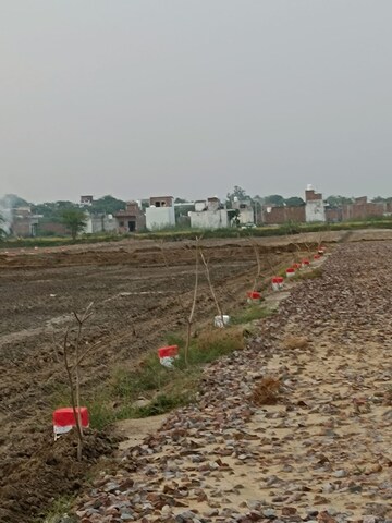  Plot For Sale in Sultanpur