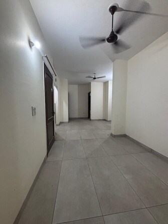 3 BHK Builder Floor For Rent in Sector 123 Mohali  7648467