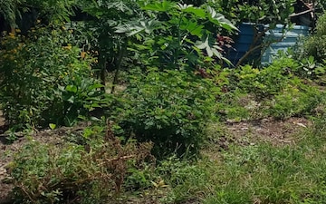 Plot For Sale in Chinchwad