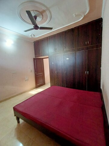 1 BHK Builder Floor For Rent in Sunny Enclave Mohali  7648660