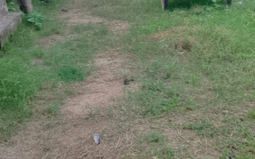 Plot For Sale in Sector 12