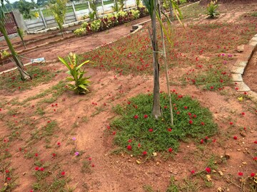 Plot Area in  Plot at Sri Bhumi Eeshaanya, Kankipadu – for Sale