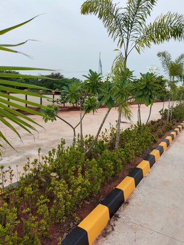  Plot – Exterior View View at Thanjore Road - for Sale