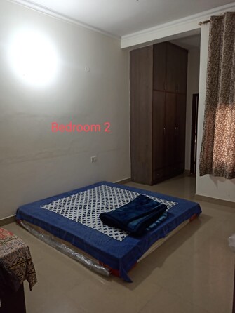 3 BHK Builder Floor For Rent in Sector 28 Faridabad  7649875