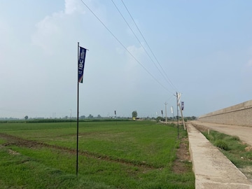 Commercial Land 500 Sq.Yd. For Resale in Banur Mohali  7649929