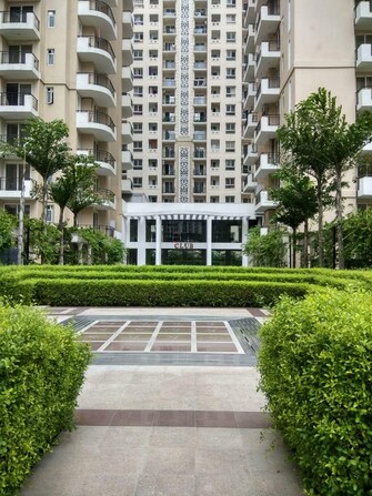 4 BHK Independent House For Resale in Panchsheel Greens Noida Ext Sector 16 Greater Noida  7650338