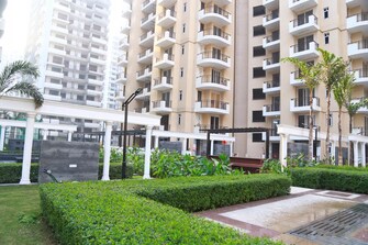 4 BHK Independent House For Resale in Panchsheel Greens Noida Ext Sector 16 Greater Noida  7650338