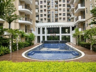 3.5 BHK Apartment For Resale in Strategic Royal Court Noida Ext Sector 16 Greater Noida  7650383