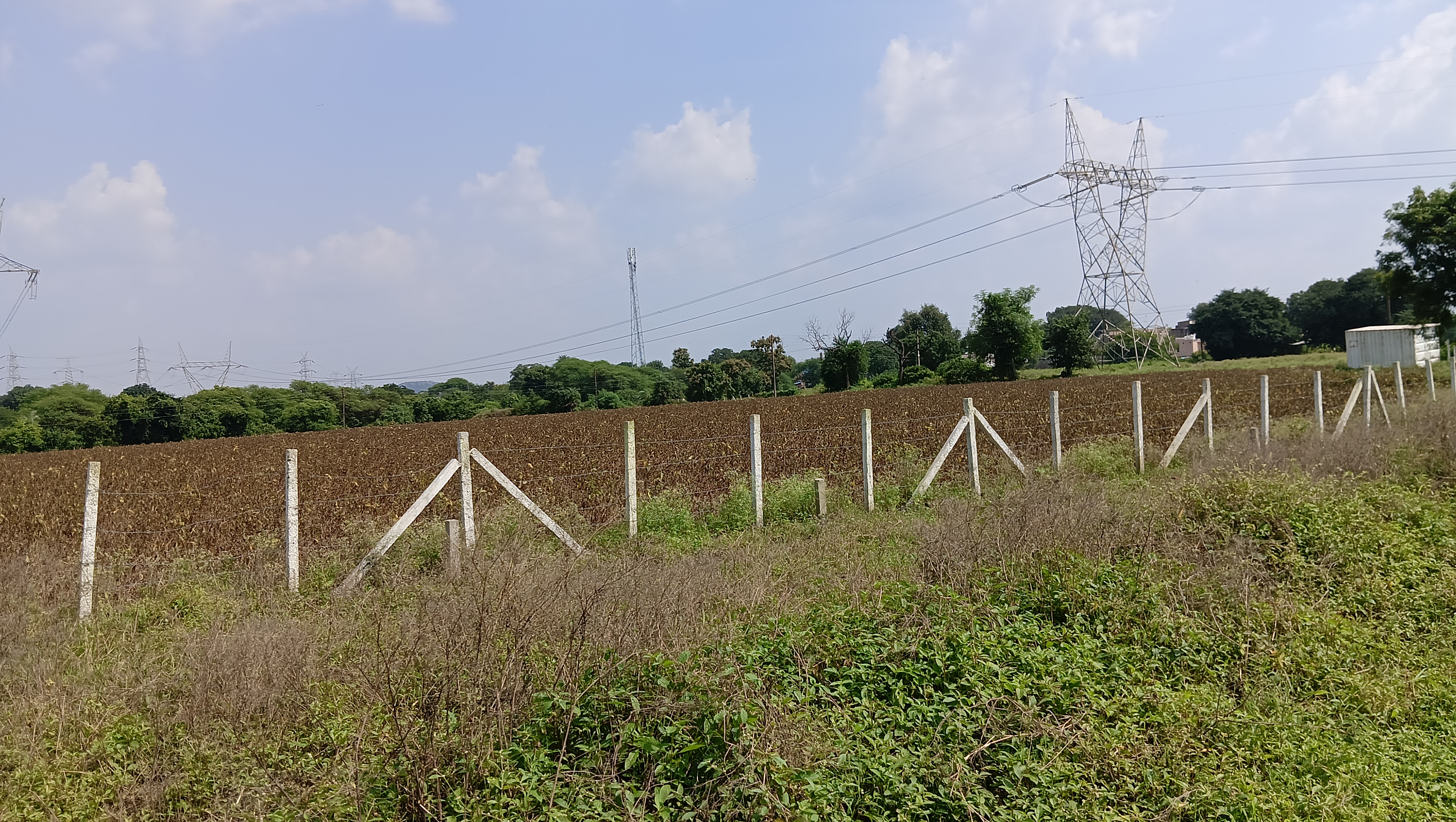 Commercial Land 1 Acre For Resale in Khandwa Road Indore  7650787