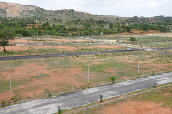 Plot For Resale in Hajjala Bangalore  7650750