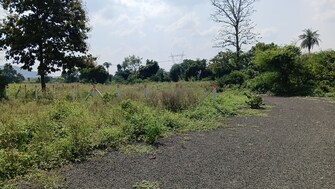 Commercial Land 3 Acre For Resale in Khandwa Road Indore  7650816