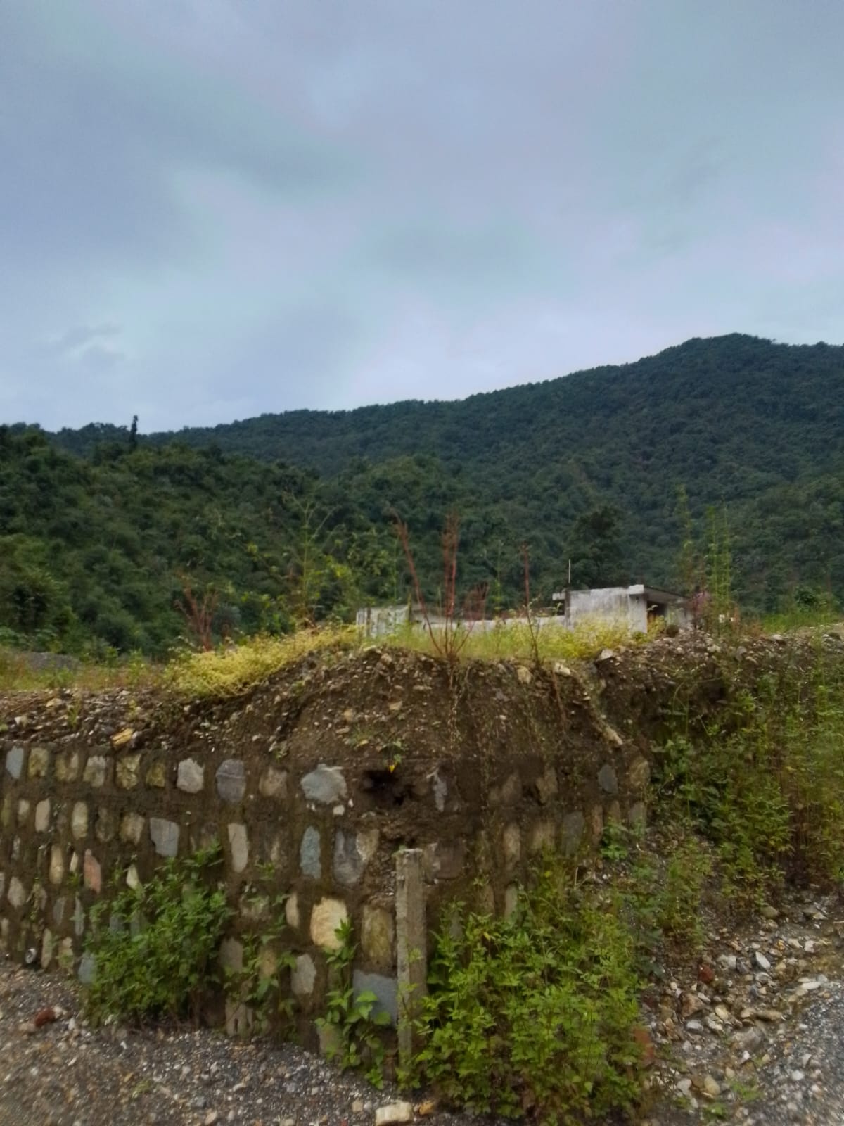 रेसिडेंशियल प्लॉट वर्ग यार्ड फॉर रीसेल इन सहस्त्रधारा रोड देहरादून  7651133