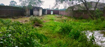 Plot – Garden View at Harmu Housing Colony - for Sale