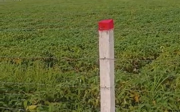Land For Sale in Awas Nagar