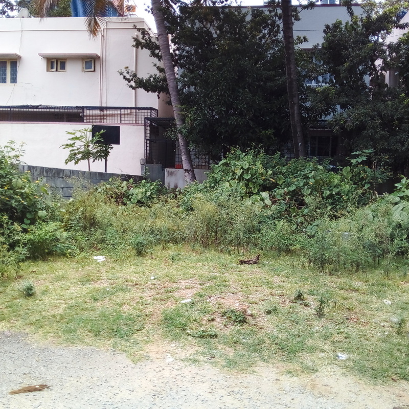 Plot For Resale in Nagarabhavi Bangalore  7652449