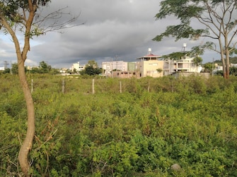 Plot For Resale in Shiravala Road Shimoga  7652842