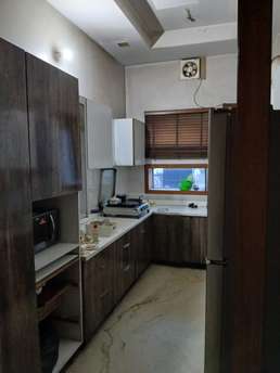 3 BHK Builder Floor For Rent in Sector 9 Hisar  7653084