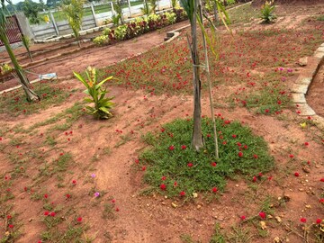 Plot Area in  Plot at Sri Bhumi Eeshaanya, Kankipadu – for Sale