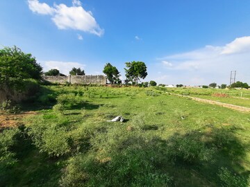Plot Area in  Plot at Iim Road – for Sale