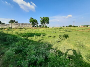  Plot For Sale in Iim Road