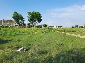 Plot Area in  Plot at Iim Road – for Sale