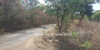 Plot For Resale in Pen Navi Mumbai  7653790