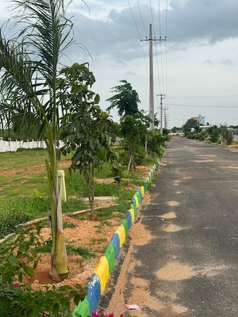 Plot For Resale in Yuva Park Shadnagar Hyderabad  7653798