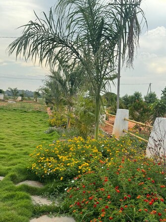 Plot For Resale in Yuva Park Shadnagar Hyderabad  7653798