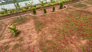 Plot For Sale in Sri Bhumi Eeshaanya, Kankipadu