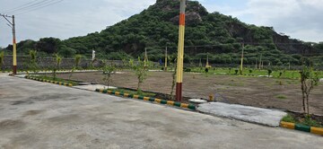  Plot – Garden View at Komaravolu - for Sale
